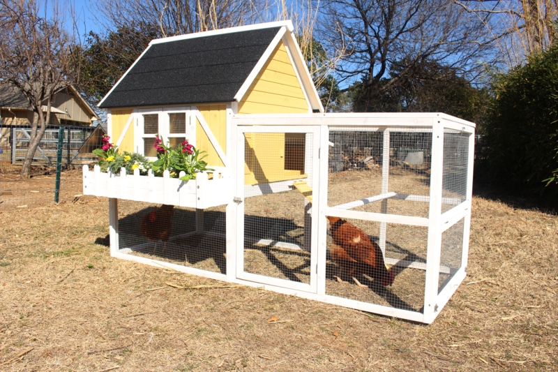 23.4 Square Feet with Chicken Run