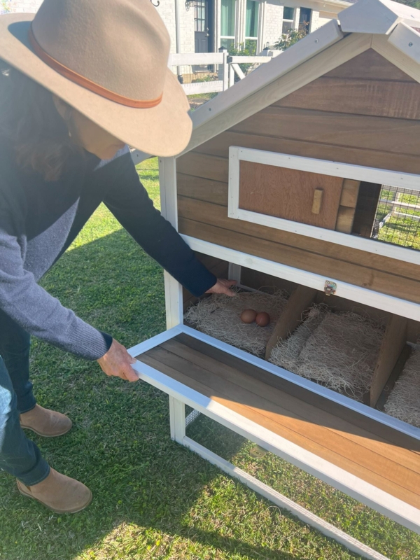 24 Square Feet Chicken Coop with Nesting Box For Up To 8 Chickens