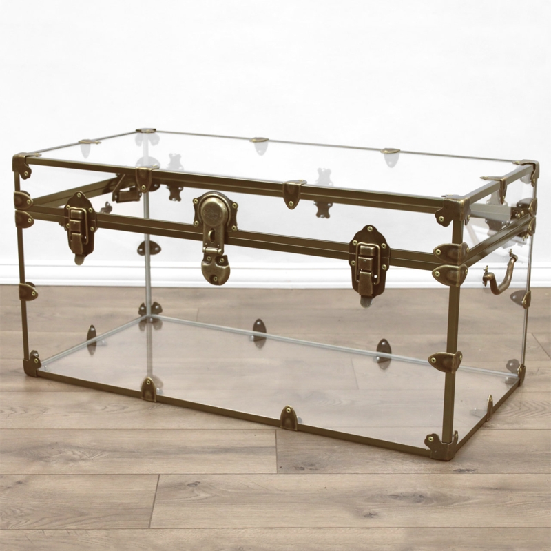 Acrylic Accent Trunk