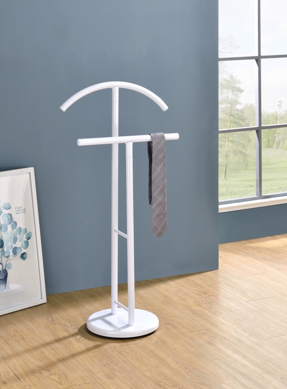 Anshum Metal Freestanding Valet Stand