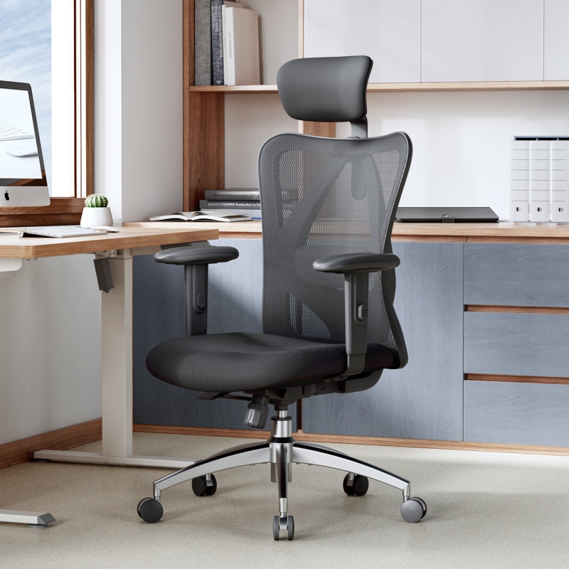 Ashendon Ergonomic Mesh Office Chair with Adjustable Lumbar Support and Padded Armrests for 300lbs