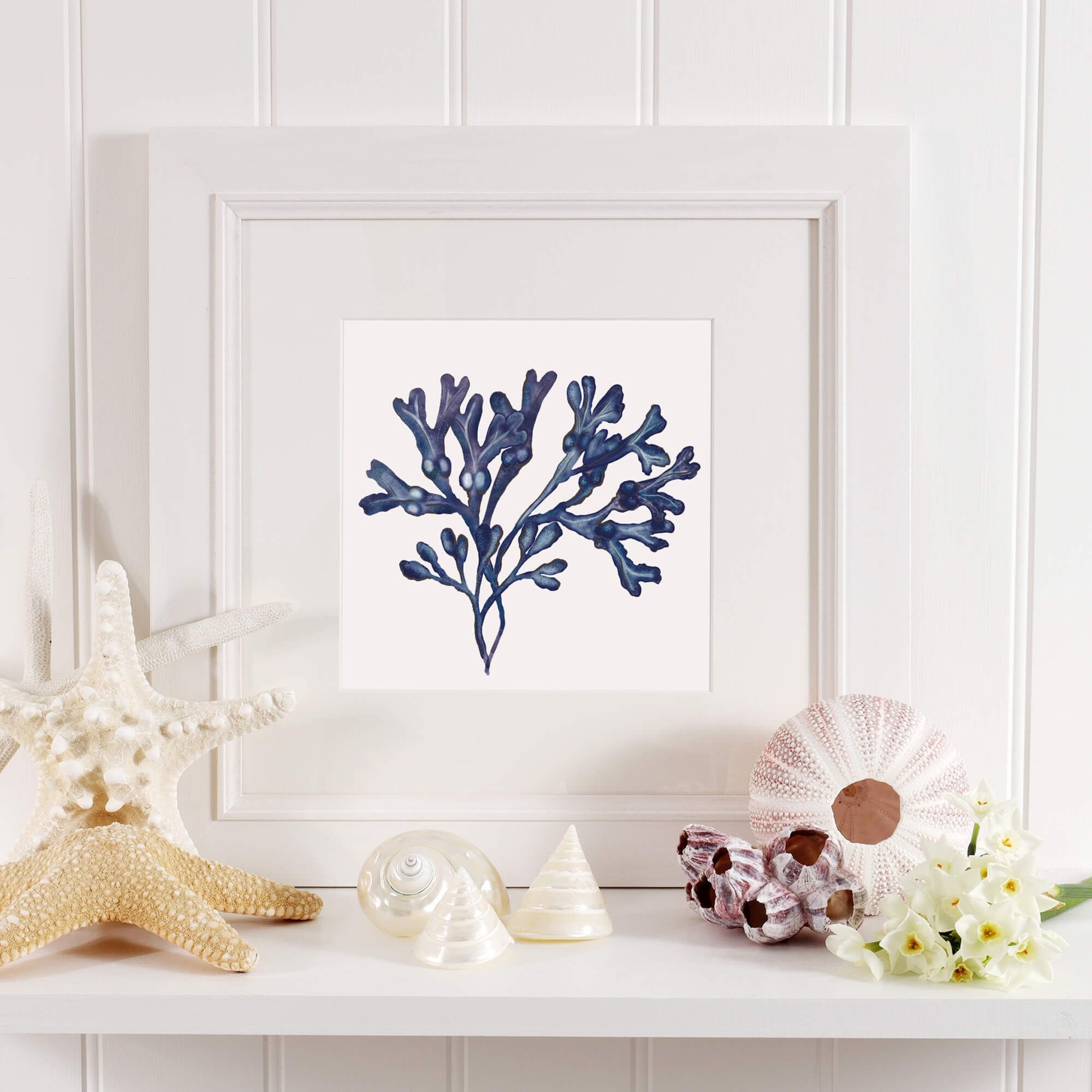 Bladderwrack Seaweed Art Print  - 20cm & 30cm Square - Small