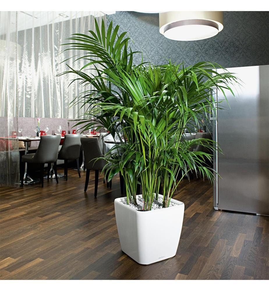 Blumenkasten Quadro Premium 43 Ls - Weiss Hochglanz