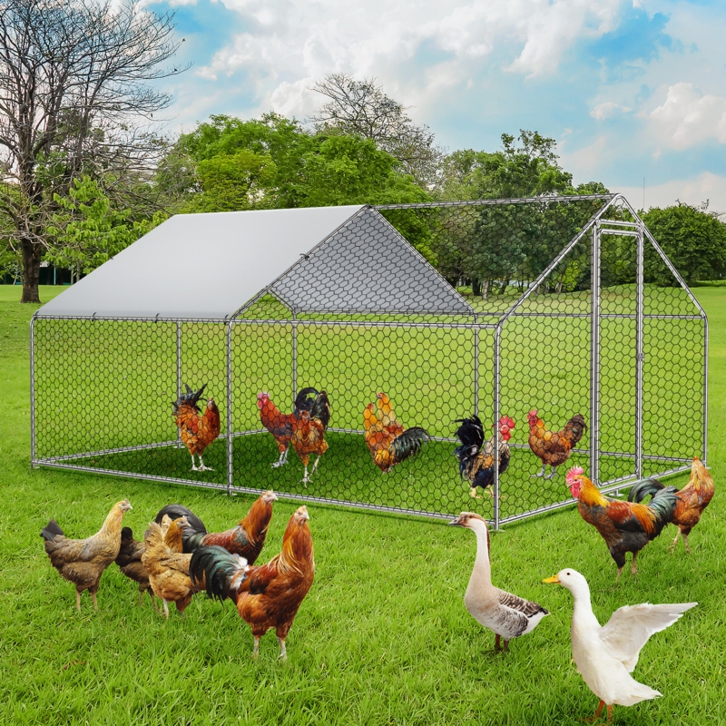 Darionte Metal Chicken Coop Runs for Yard with Cover, Walk-in Poultry Cage for 6/10/20 Chickens
