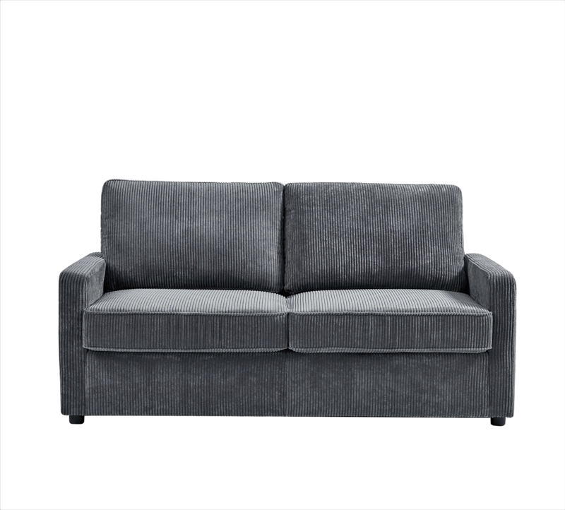 Dashly 70'' Upholstered Sleeper Sofa