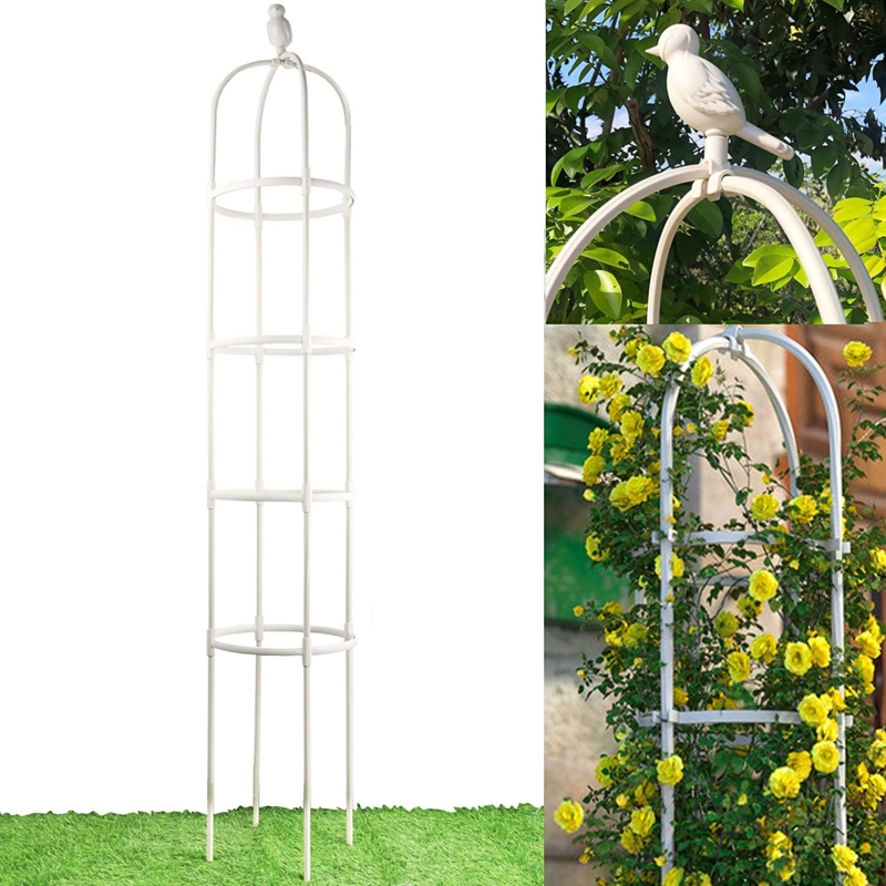 Domico 73'' H x 10.4'' W Obelisk Trellis
