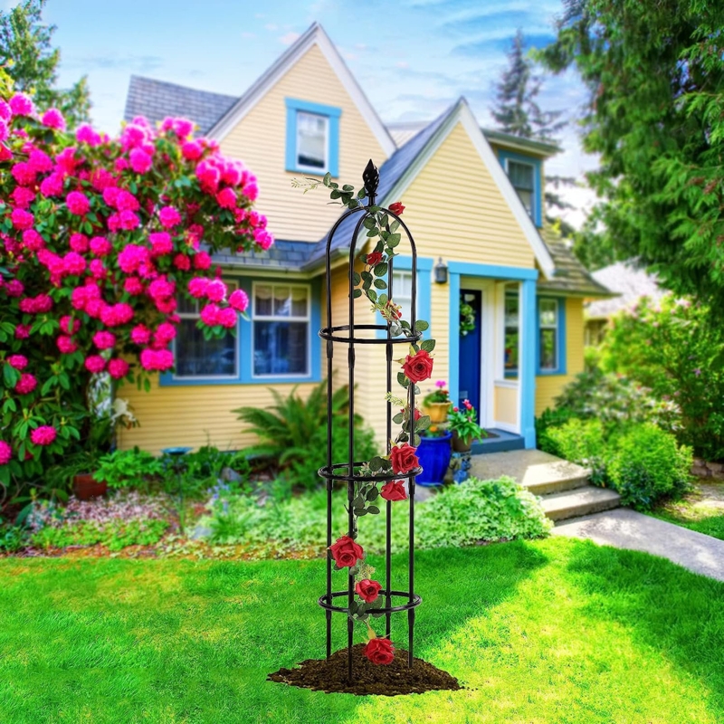 Domonick 71'' H x 11.8'' W Obelisk Trellis