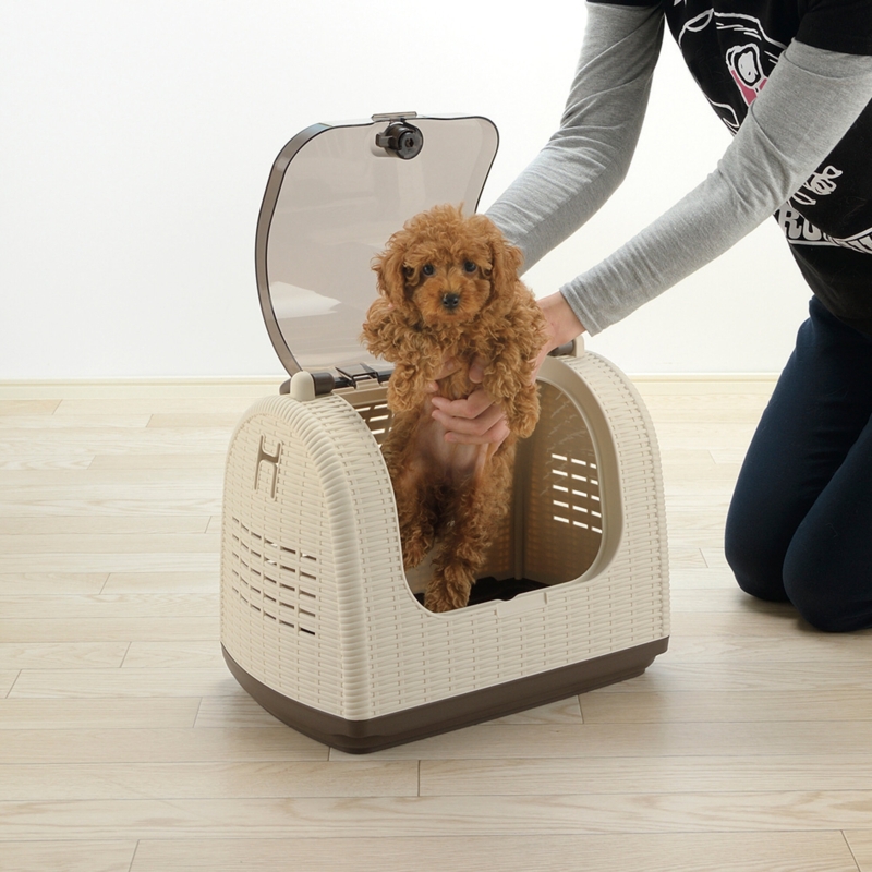 Faux Wicker Pet Carrier