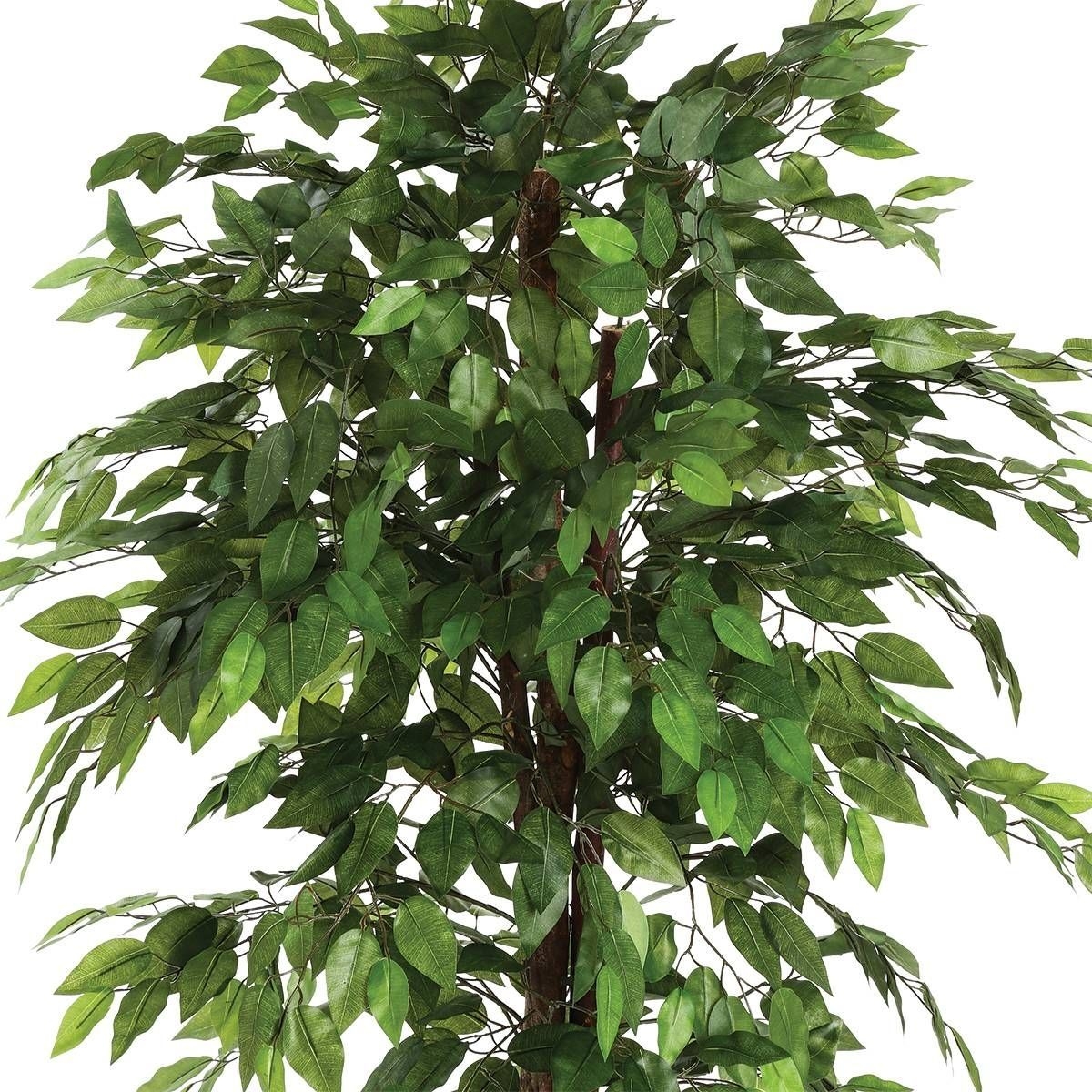 Ficus Artificiel