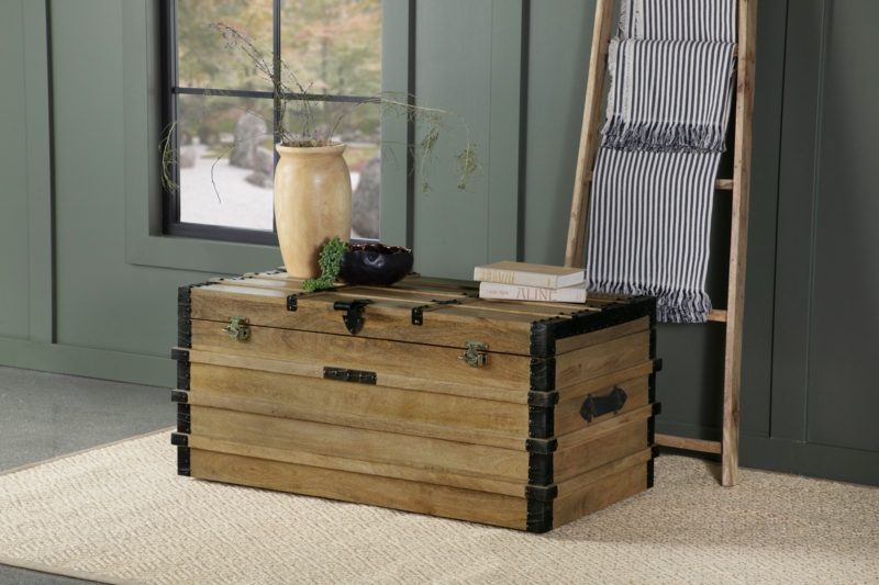 Francene Solid Wood Accent Trunk