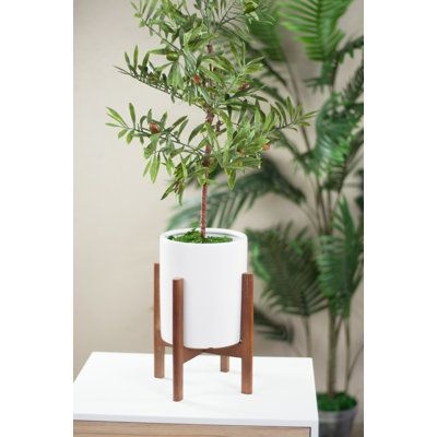 George Oliver Brandenburg Ceramic Pot Planter Wood/Ceramic in White/Brown, Size 9.0 H x 6.7 W x 6.7 D in | Wayfair