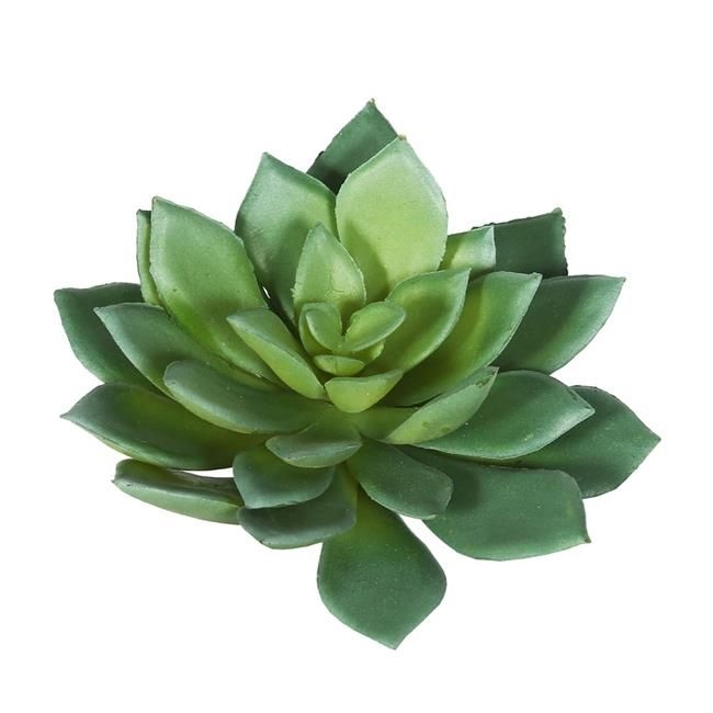 Green & Grey Cactus Succulent - Pack of 6