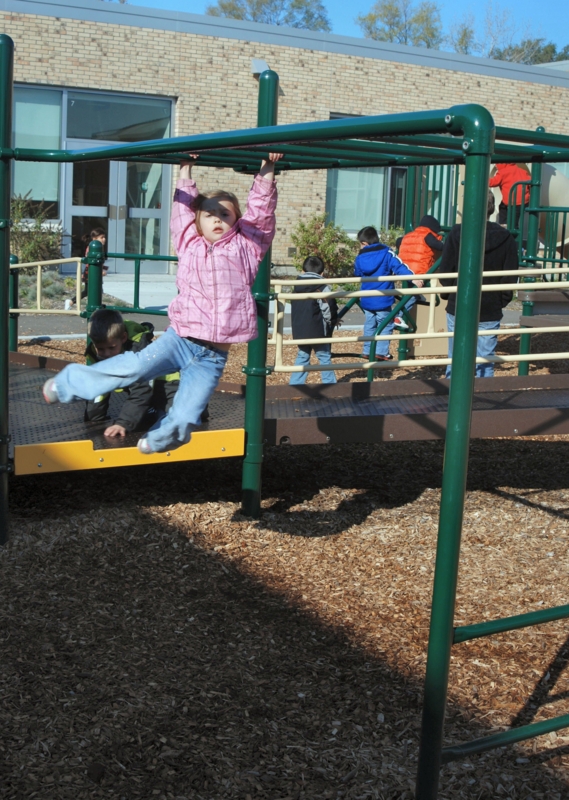 Ground Mount Metal Freestanding Equipment with Monkey Bars