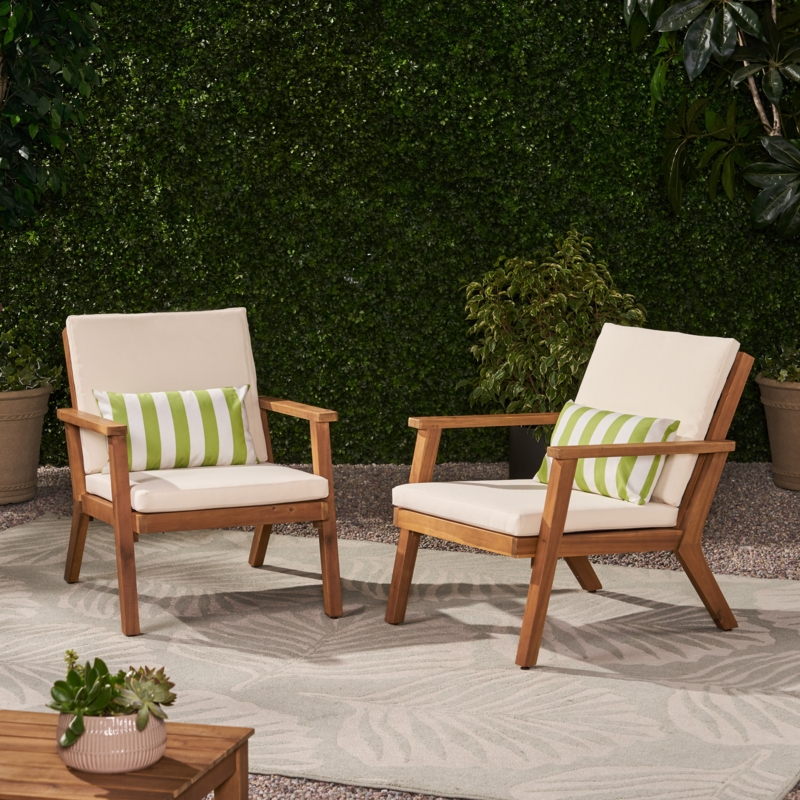 Isaacson Outdoor Patio Chair with Cushions (Set of 2)