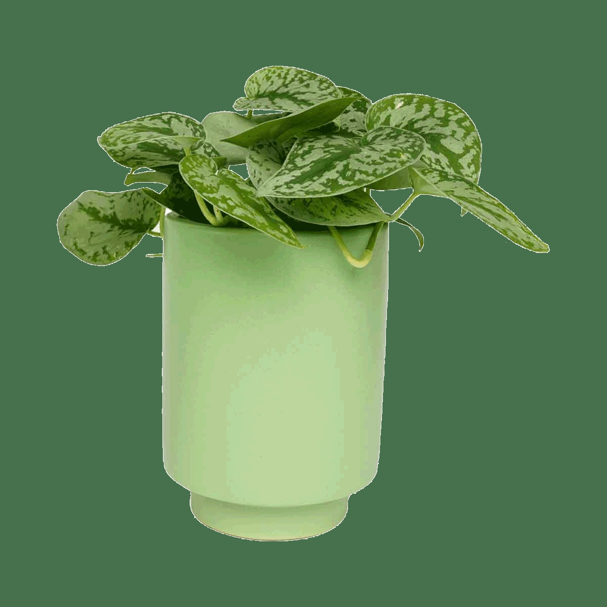 Kiwi Green Kaya Vase by Justina Blakeney