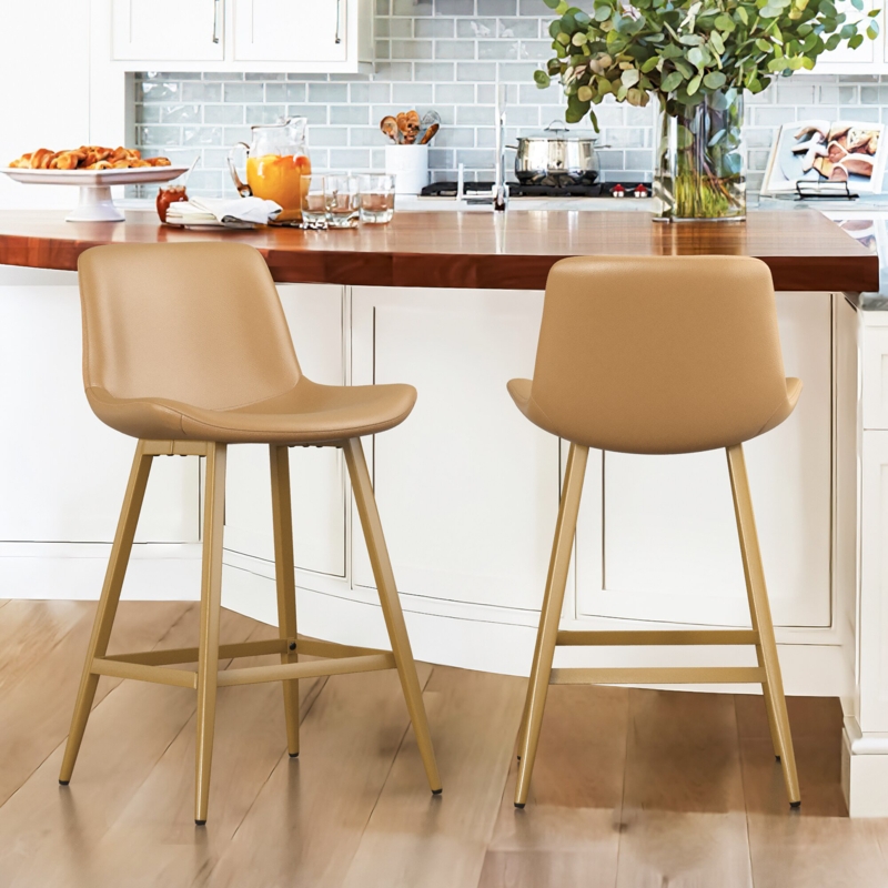 Macaire Counter & Bar Stool (Set of 2)