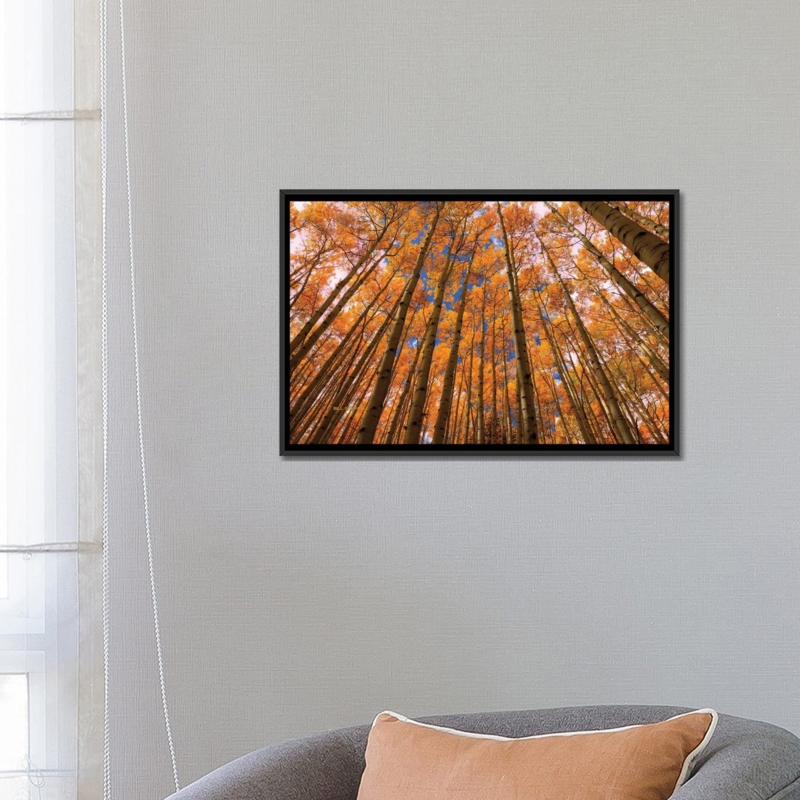 'Orange Grove' By Bill Sherrell Graphic Art Print on Wrapped Canvas