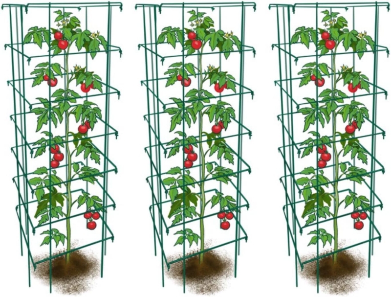 Steel Obelisk Trellis