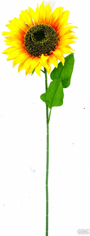 Sunflower Arrangement