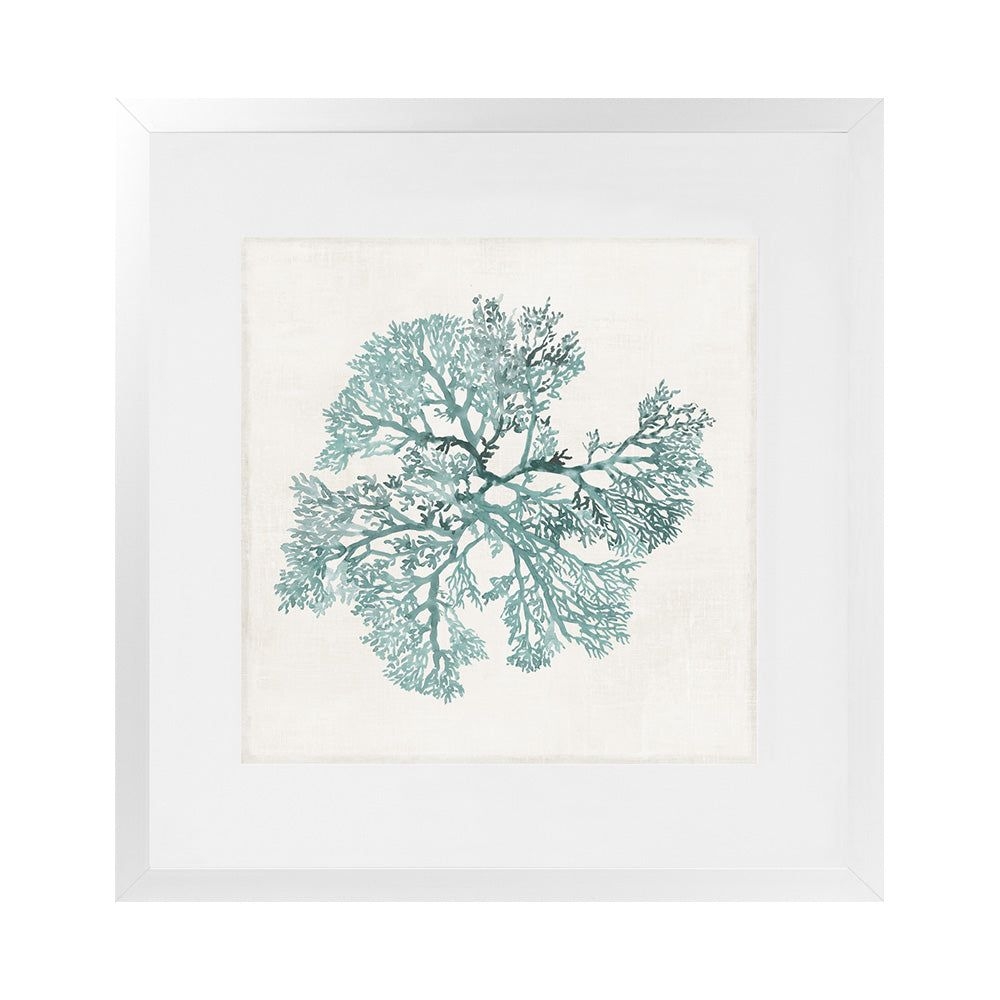 Teal Coral II (Square) Art Print - 18 x 18 / BLACK CONTEMPORARY (NO MAT)