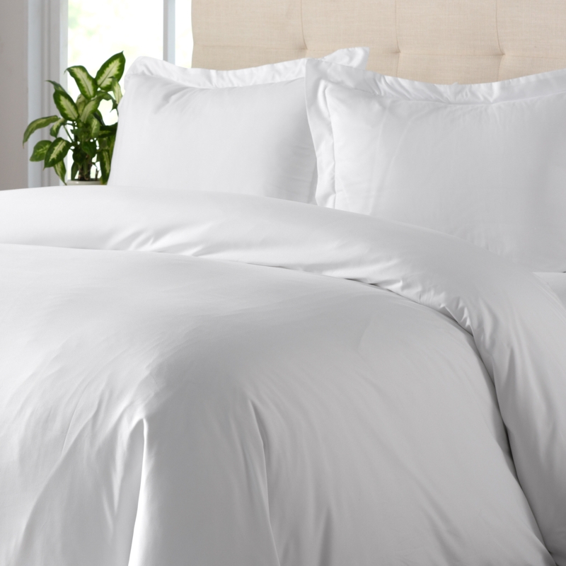 Wayfair Basics Modern Microfiber Duvet Cover Set