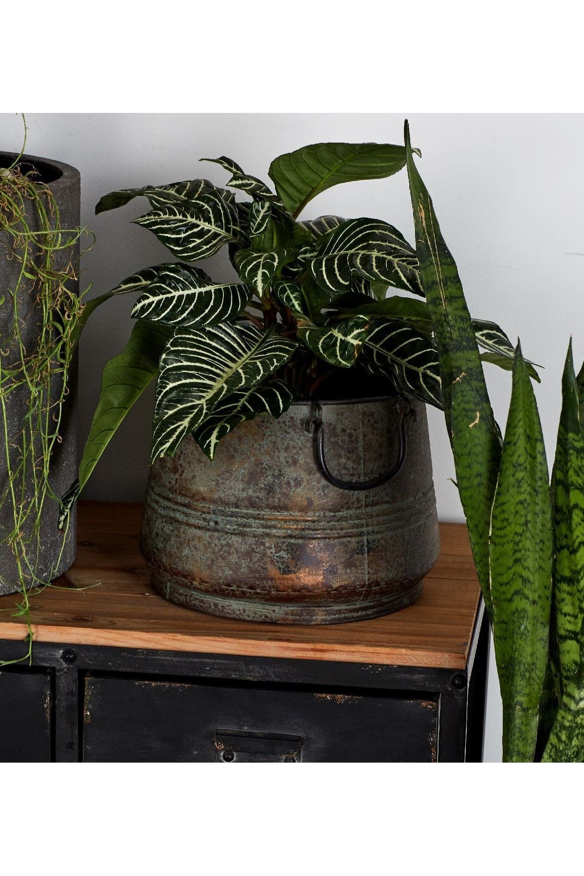 WILLOW ROW Copper Metal Planter - Set of 3 in Brass at Nordstrom Rack