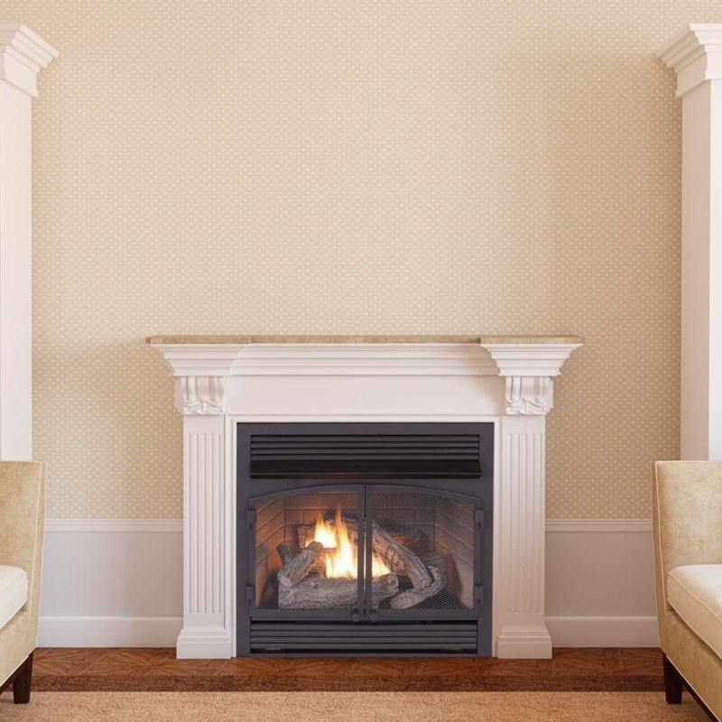 29.1'' W Ventless Fireplace Insert