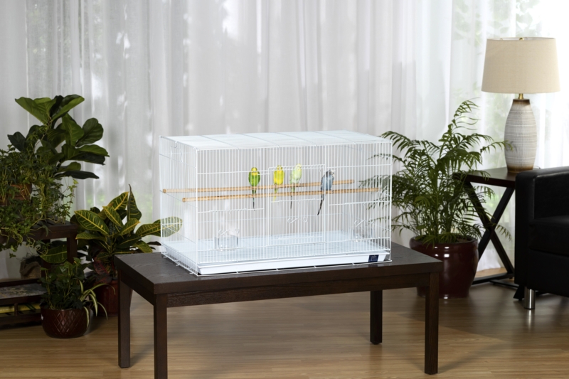 Allegro 18'' Steel Flat Top Breeder Bird Cage with Perch