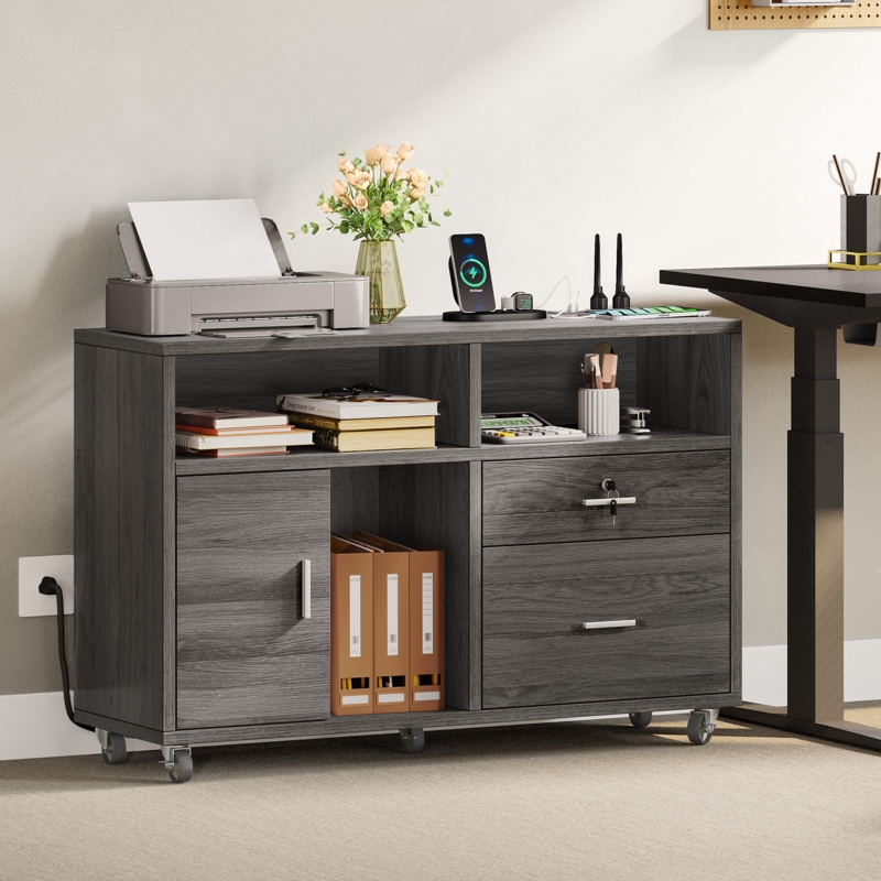 Ana-Veronica 38'' Wide 2 -Drawer Mobile File Cabinet