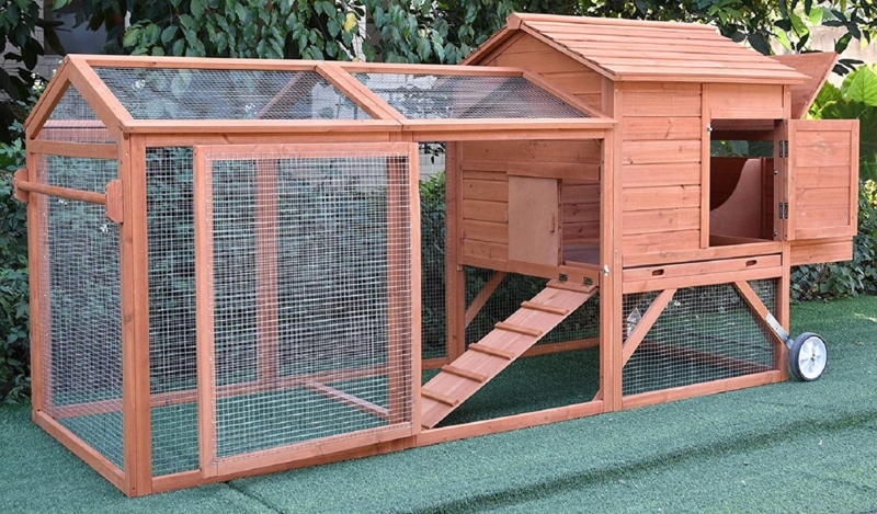 Aynsley 19 Square Feet Chicken Coop For Up To 4 Chickens