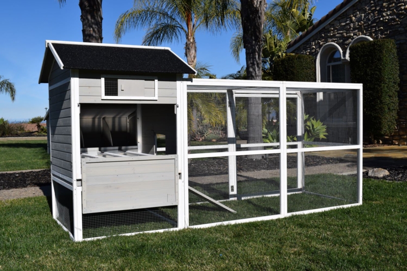 Chelsea-May 19.13 Square Feet Chicken Coop with Roosting Bar For Up To 4 Chickens
