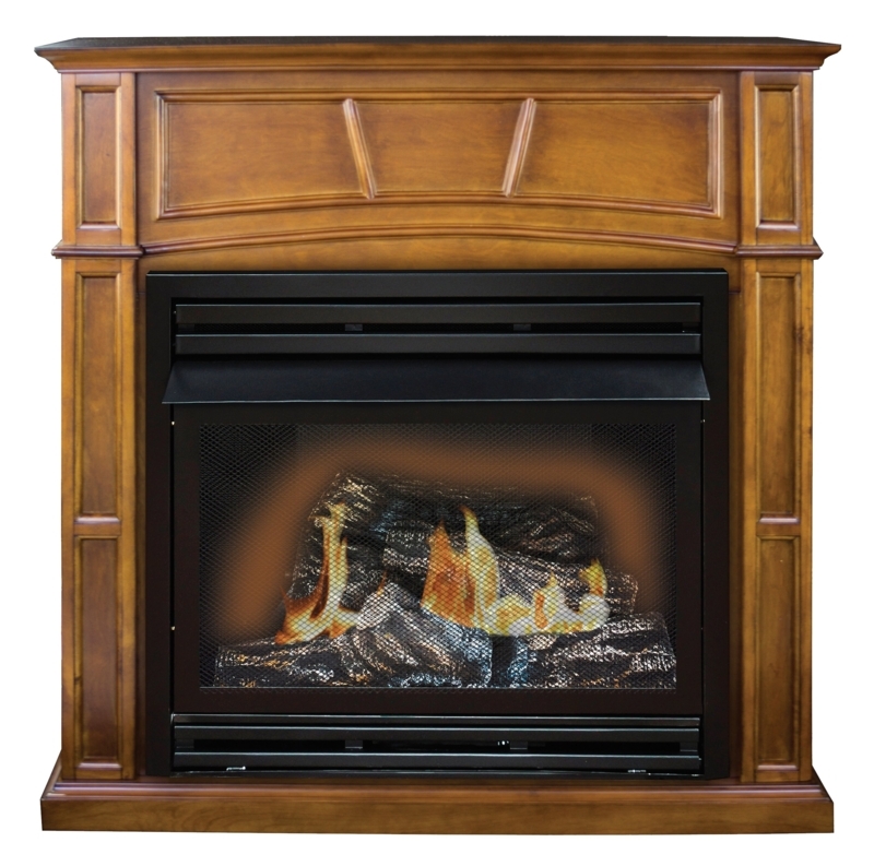 Comfort Glow The Savannah Remote Controlled Vent Free Gas Fireplace, 30,000 Btu