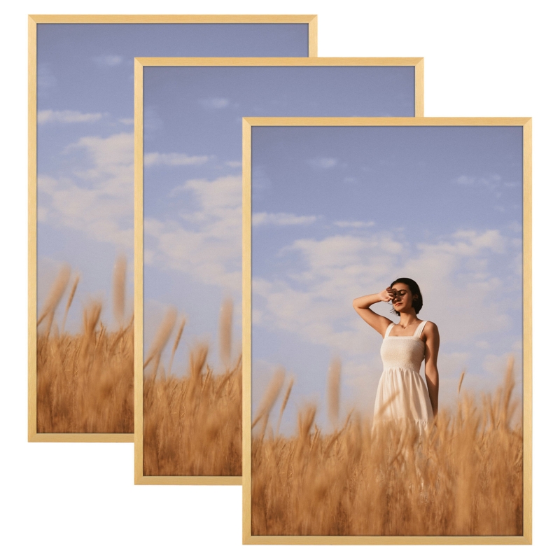 Drennon Metal Poster Frame, Wall Gallery Photo Frames without Mat