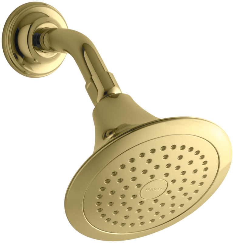 Forte Wall-Mount Single-Function Showerhead with 66-Nozle 5.5 Inch Sprayface, 2.5 GPM