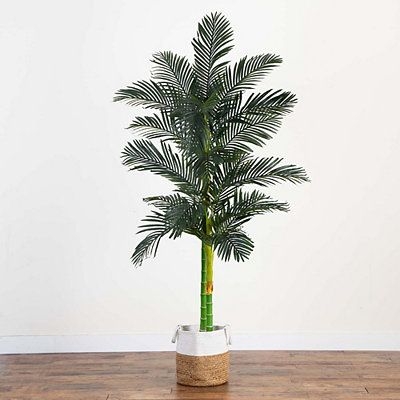 Golden Cane Palm Tree in Woven Planter, 8 ft., White, Large, Cotton | Kirkland's Home