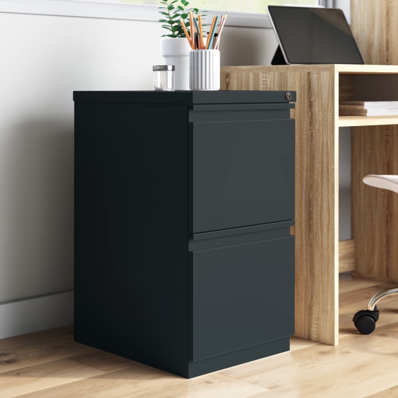 Gurmandeep 15'' Wide 2 -Drawer Mobile Steel File Cabinet