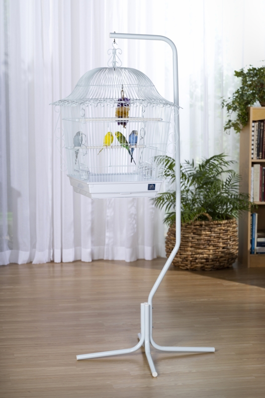 Modern Bird Cages