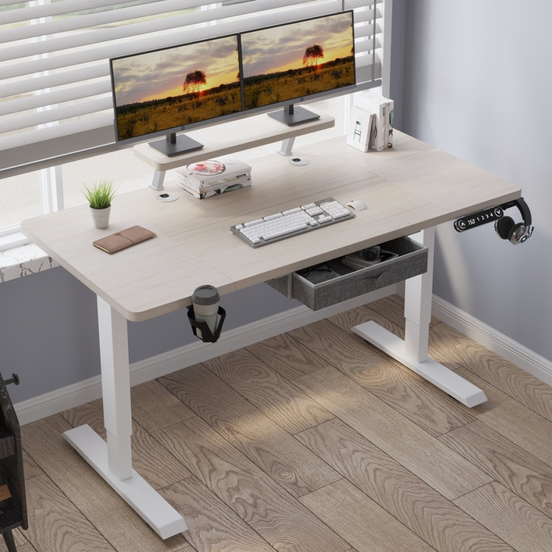 Lasherrie Height Adjustable Standing Desk With A Layer