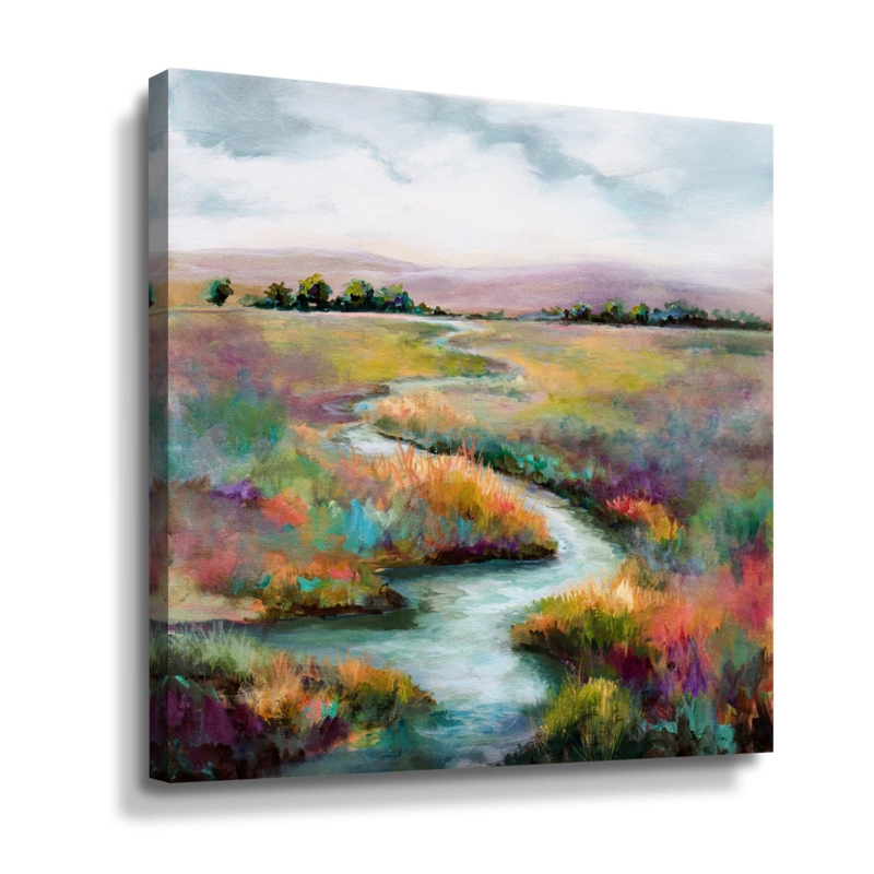 Meandering Stream Gallery