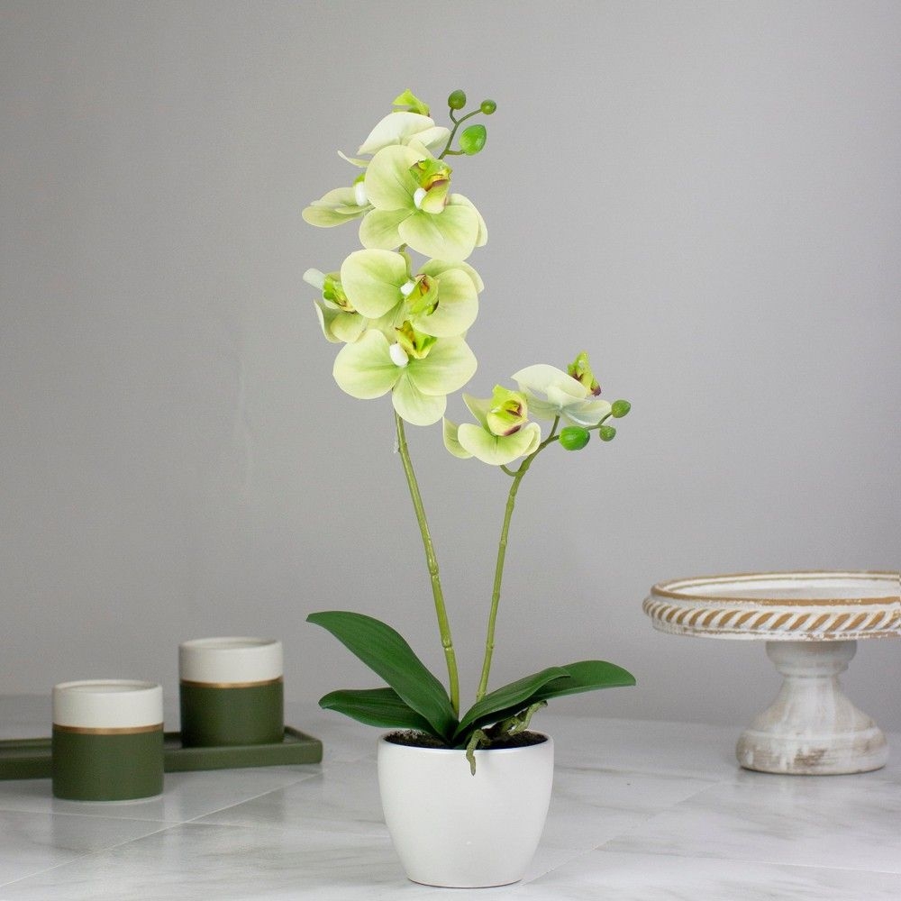 Northlight Real Touch White and Green Artificial Orchid Potted Plant 14"