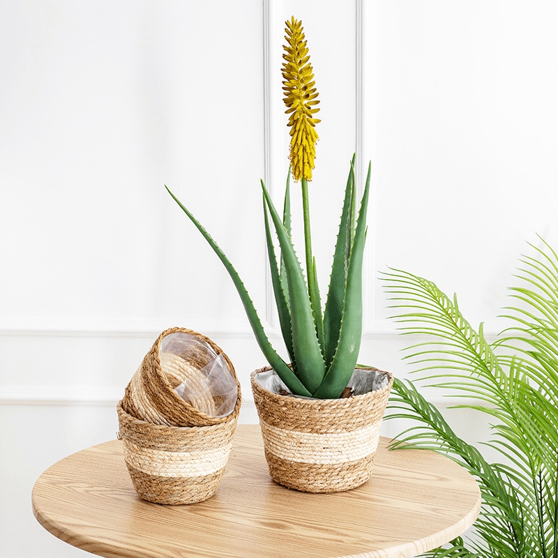 nullUn lot, Paniers  fleurs tisss en jonc, Pots de fleurs en rotin tress, Dcorations de plantes vertes, Pots de fleurs succulentes d'intrieur pour fournitures de jardin intrieur et extrieur