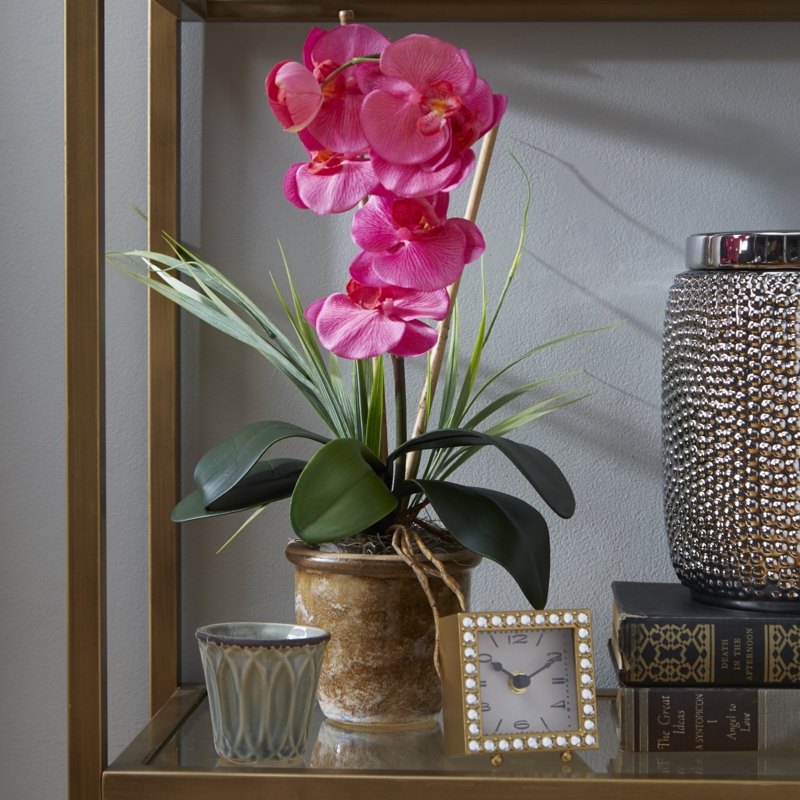 Orchid Arrangement in Vase
