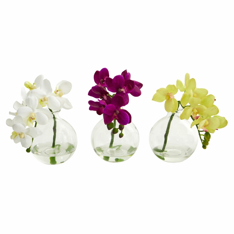 Orchid Arrangement in Vase