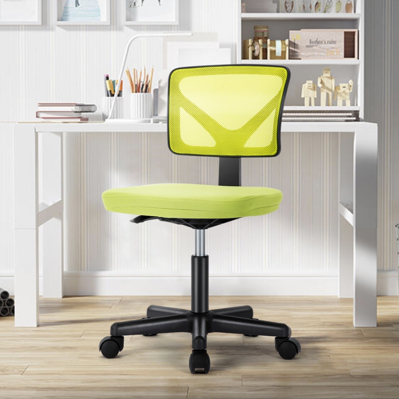 Othello Home Office Mesh Task Chair