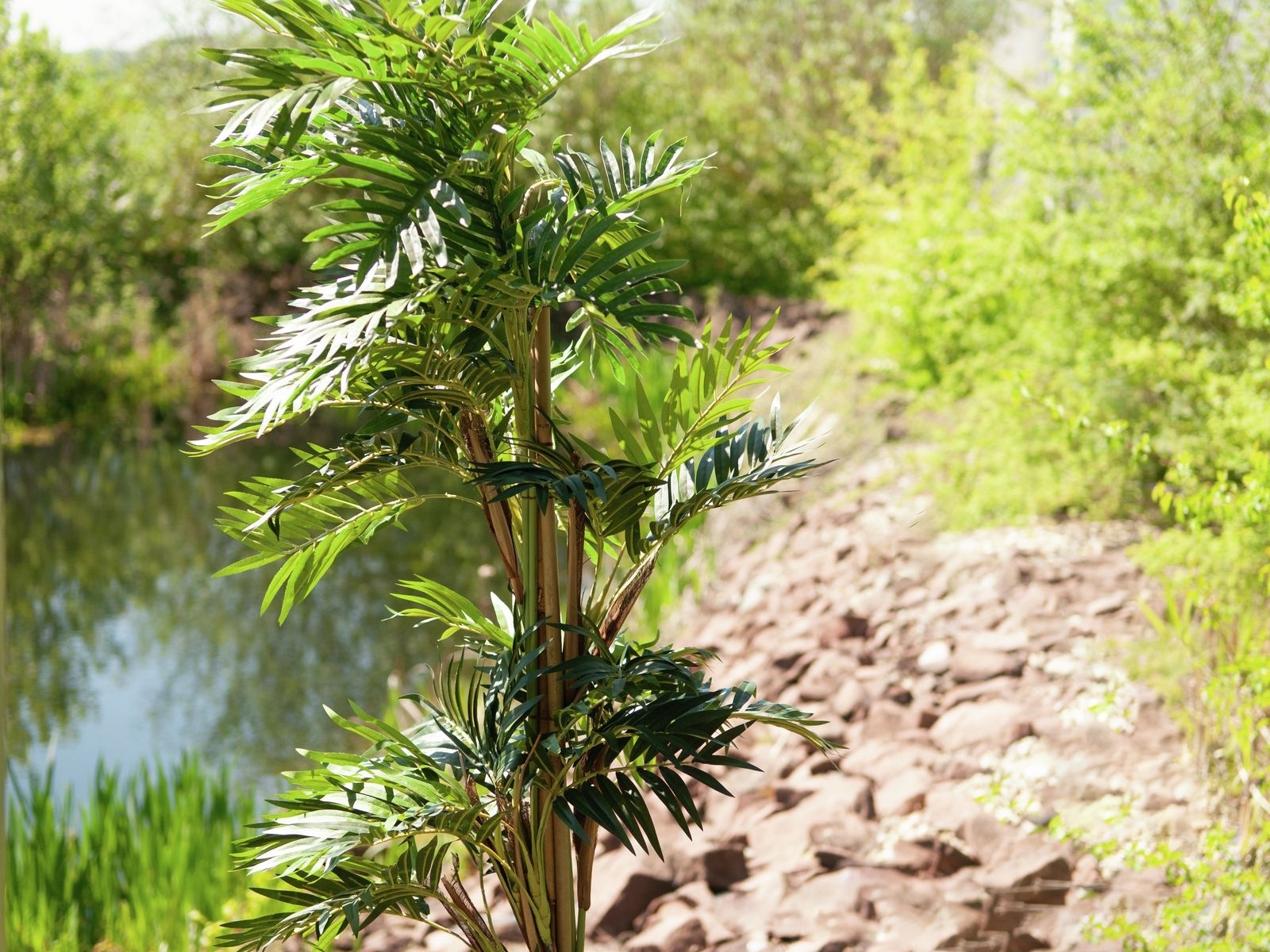 Parlourpalme, kunstig plante, 150 cm