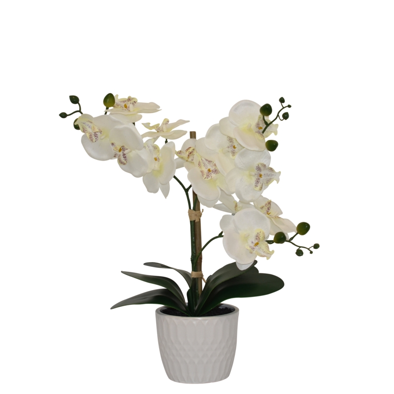 Silk Orchid Arrangement in Vase