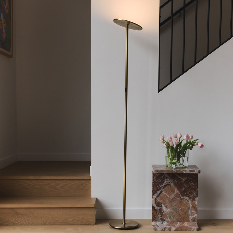 Sky 63 in. Industrial 1-Light Dimmable LED Floor Lamp with Adjustable Head