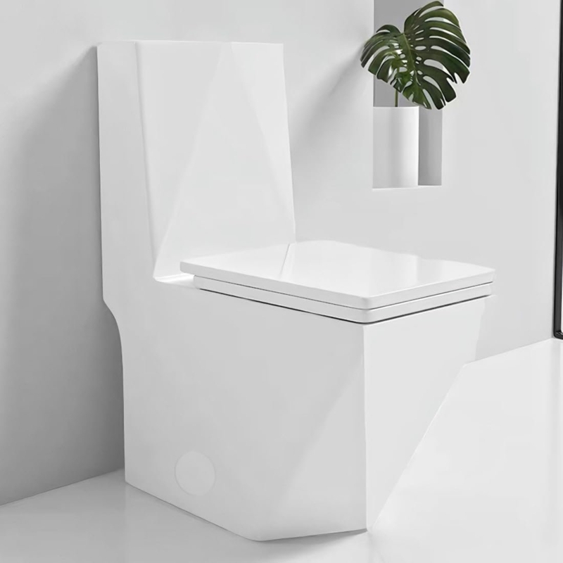 Square One Piece Toilet Dual Flush 1.6 GPF Elongated Rectangular Modern Design Chair Height 