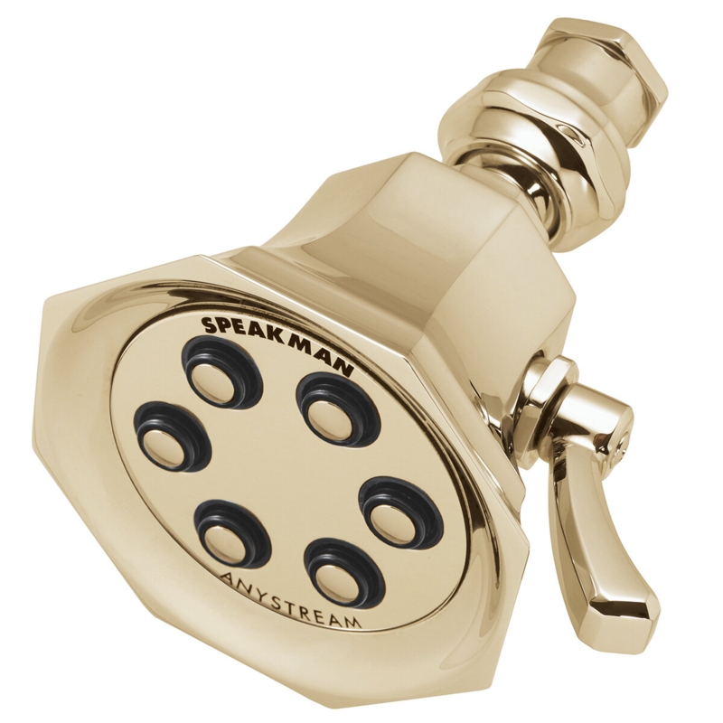 Vintage Anystream 2.0 GPM Multi-Function Adjustable Shower Head
