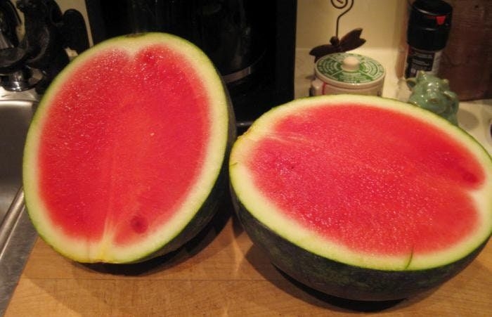 Watermelon Seeds Northen Mirracle